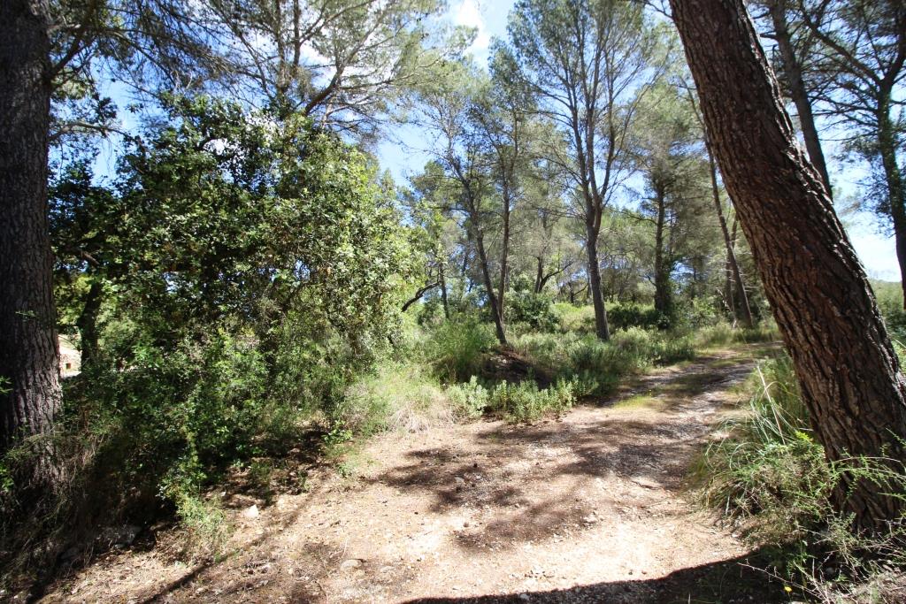 Bonita finca en Término de Felanitx